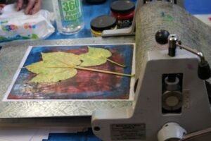 Leaf Printing at the Carnegie